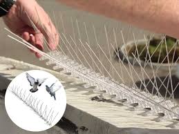 Pigeon Net 6